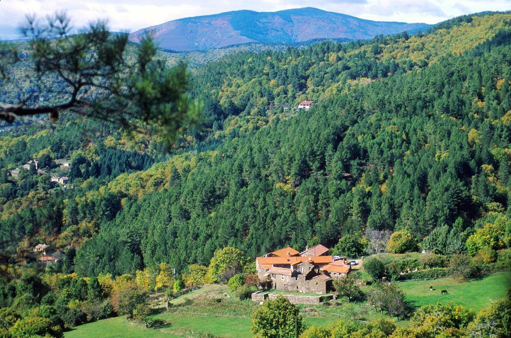 Chambres D'Hotes Lou-Rey Le Collet-de-Dèze Buitenkant foto